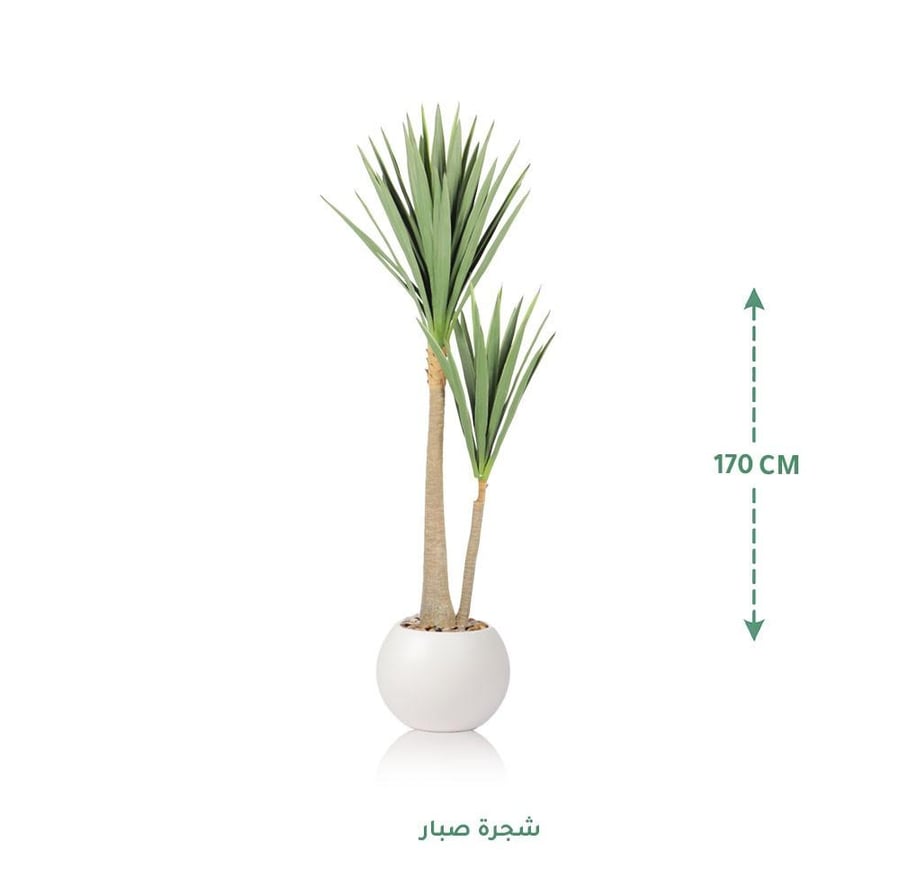 مركن زرع ابيض
