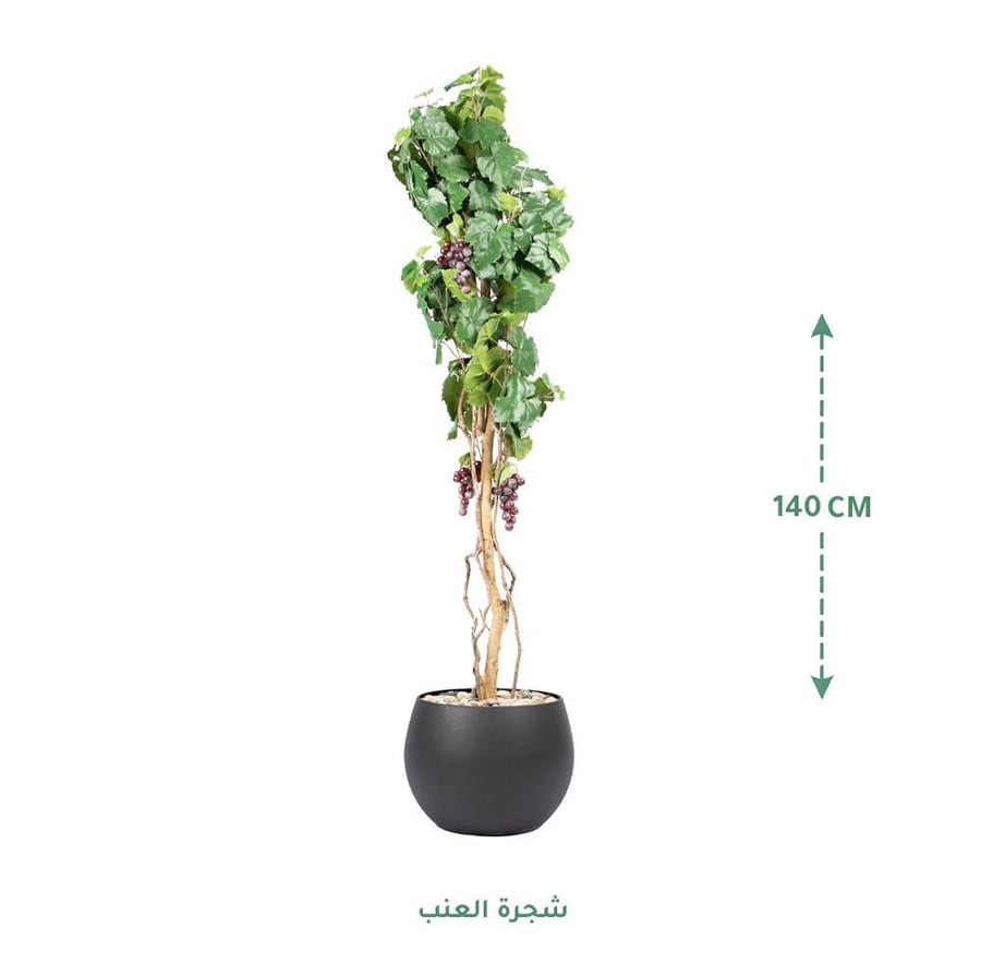 مركن زرع اسود