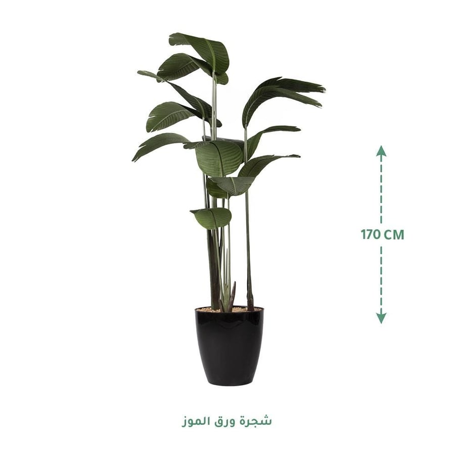 مركن زرع اسود