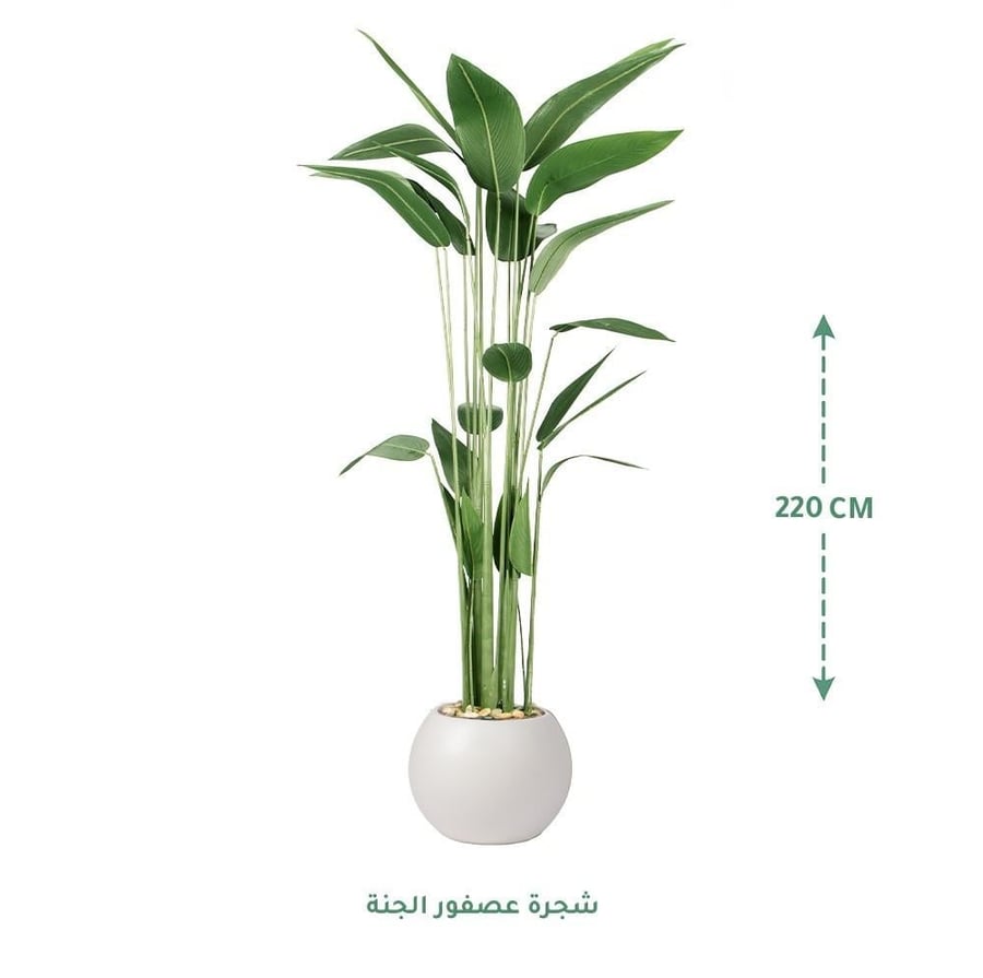 مركن زرع ابيض