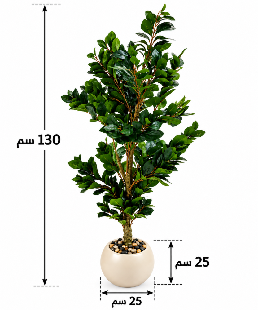 نبات ديكور أخضر بأصيص دائري بيج 130 سم