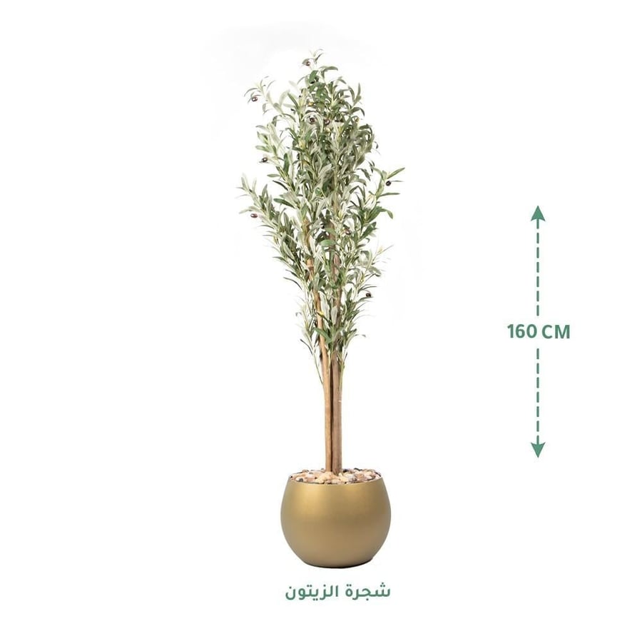 مركن زرع ذهبي