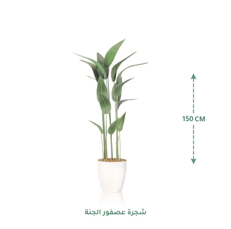 مركن زرع ابيض