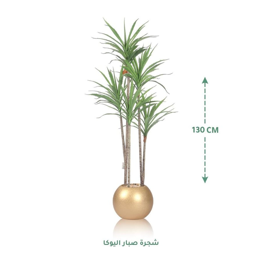 مركن زرع ذهبي