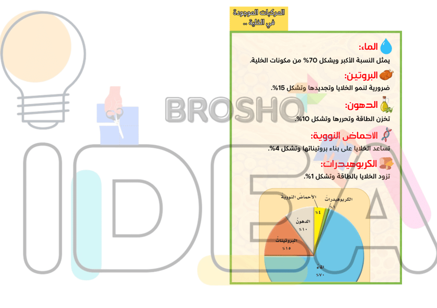مطوية نظرية الخلية علوم سادس ابتدائي