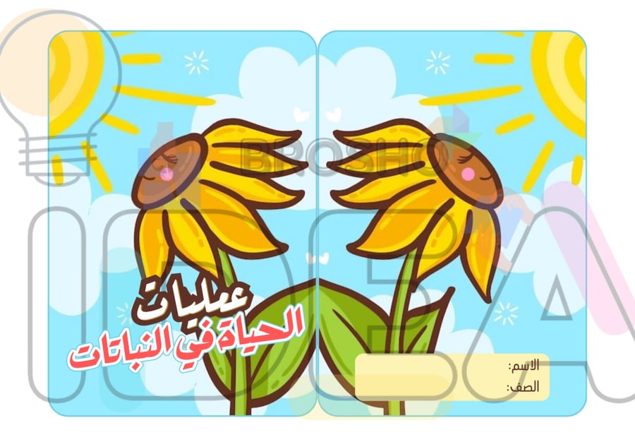 مطوية عمليات الحياة في النباتات علوم سادس ابتدائي
