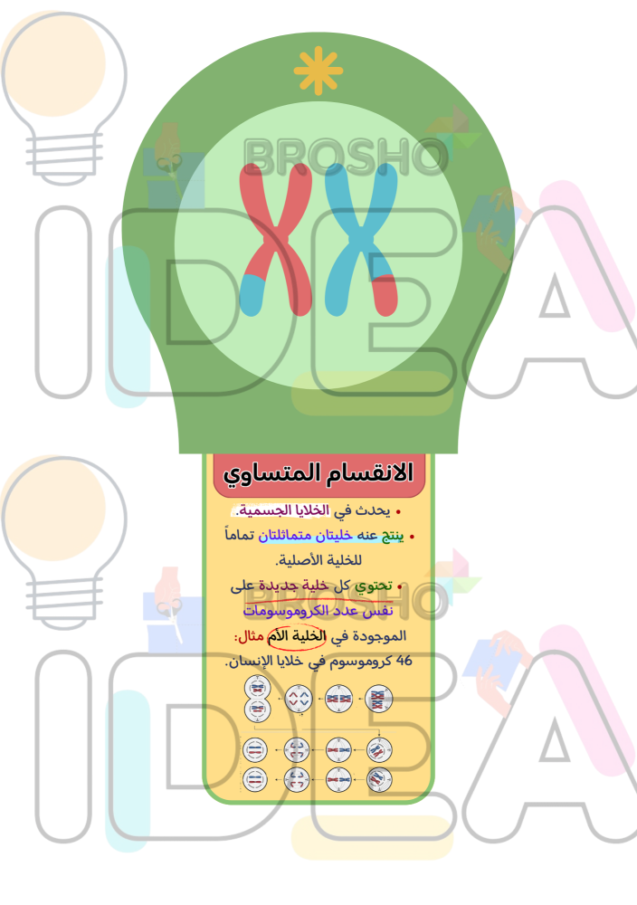 مطوية انقسام الخلايا علوم سادس ابتدائي