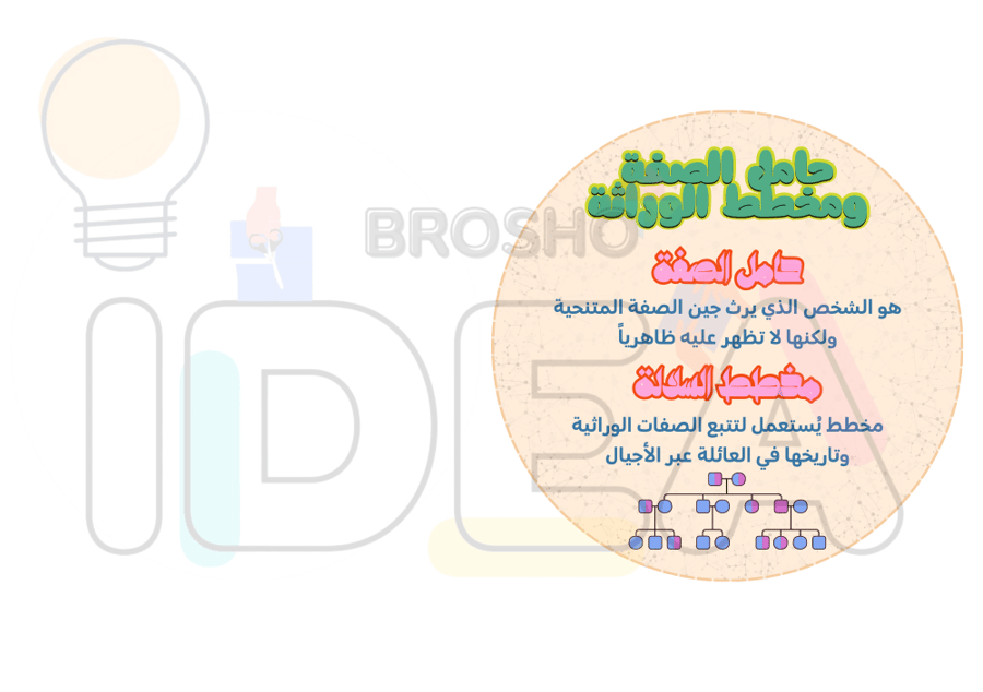 مطوية الوراثة والصفات علوم سادس ابتدائي
