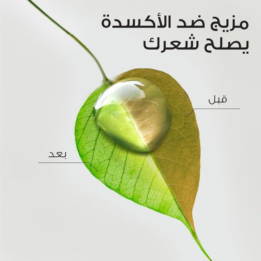كريم ليف ان 3 في 1 بالصبار وزيت الأفوكادو للشعر الكيرلي من هيربل اسنسز - 180 مل