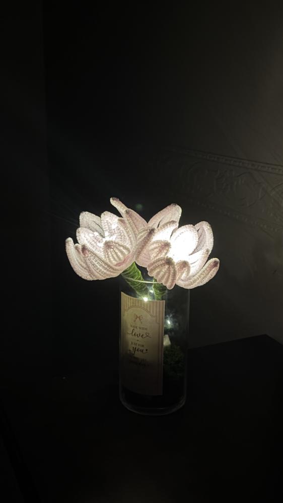 Tulip Glow Duo