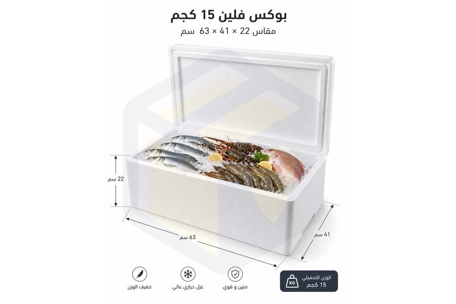 بوكس فلين 15 كجم – مقاس 22×41×63 سم