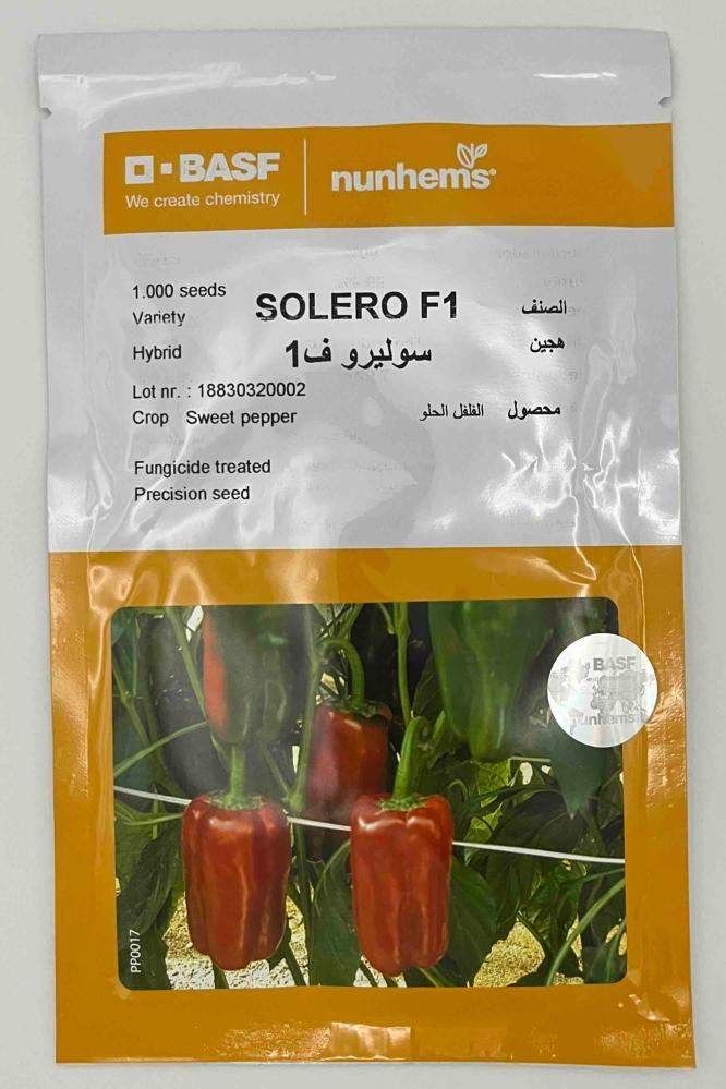 Chic pepper 1000 seeds