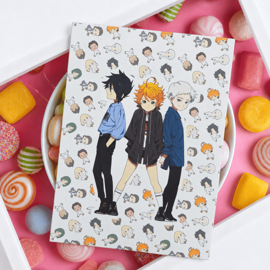 Mystery Bag The Promised Neverland