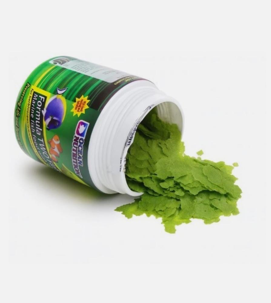 Ocean Nutrition Formula Two Flake Fish Food with Garlic