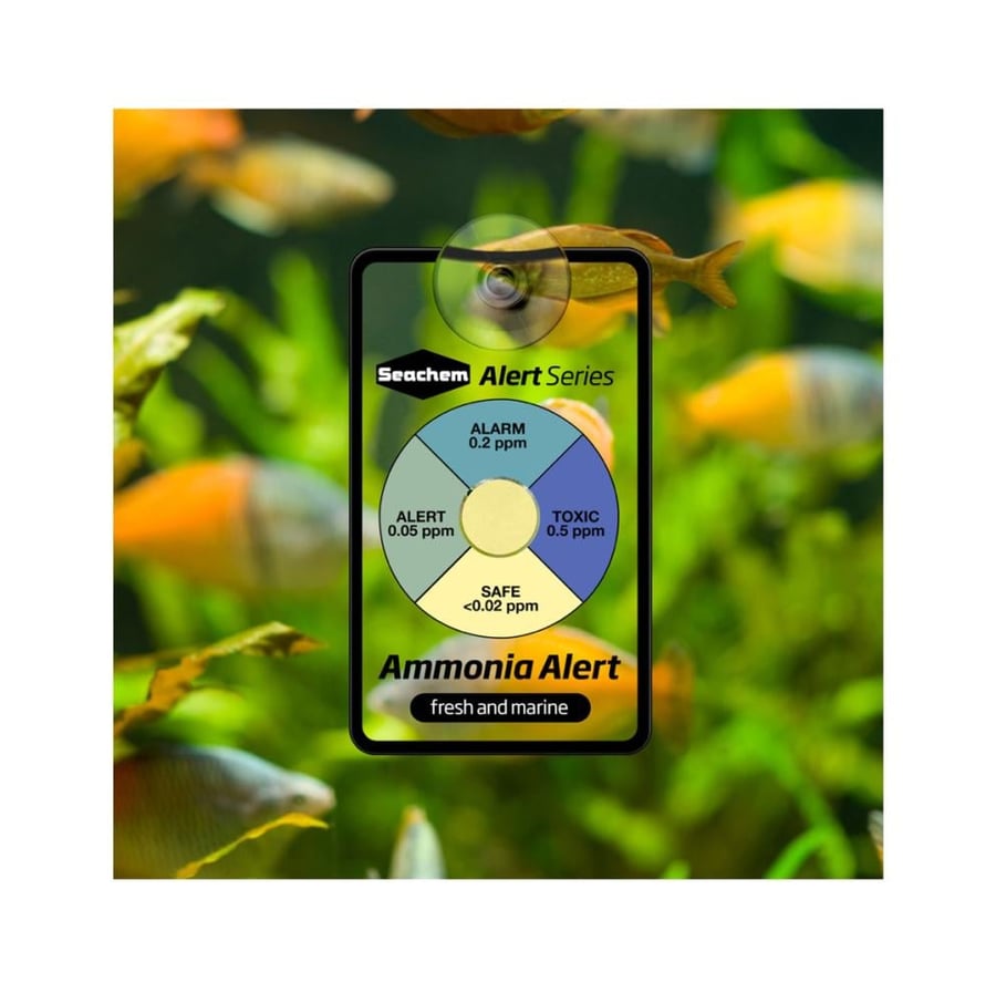 جهاز فحص الأمونيا -  Seachem Ammonia Alert®