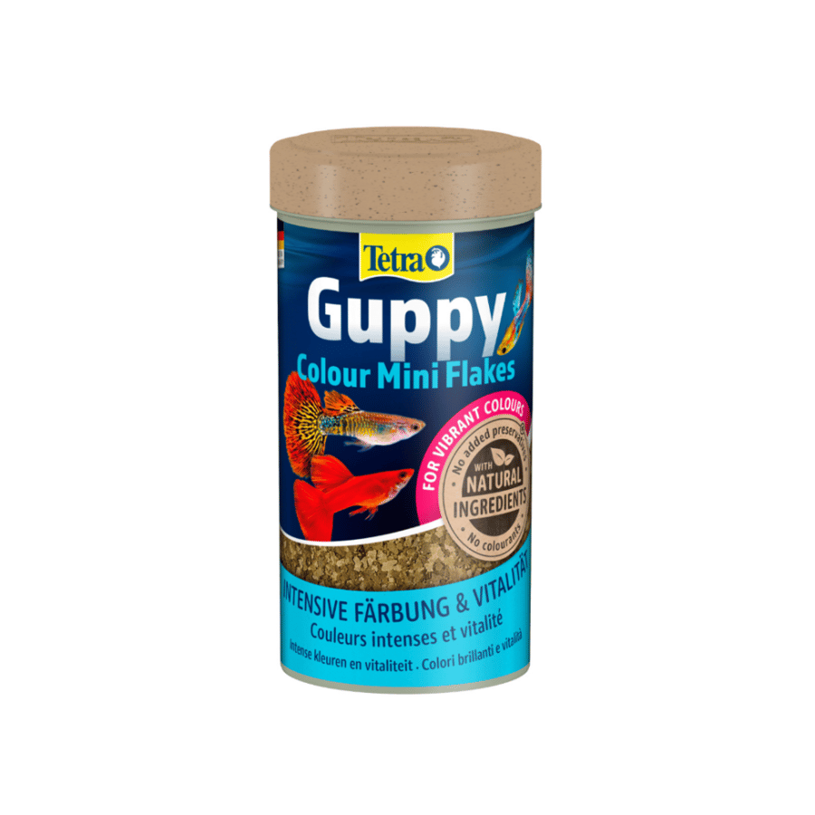 طعام أسماك الجوبي المعزز للألوان -  Tetra Guppy Colour Mini Flakes – 30g