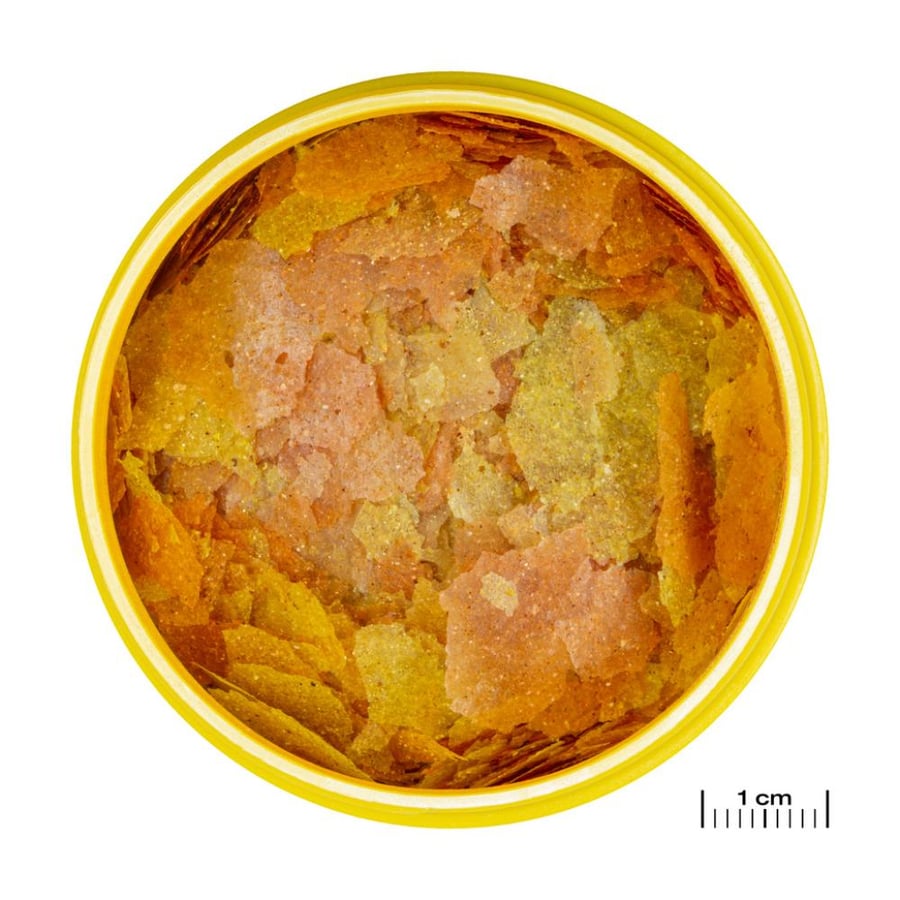 JBL PRONOVO COLOR FLAKES - طعام معزز الألوان لجميع الأسماك