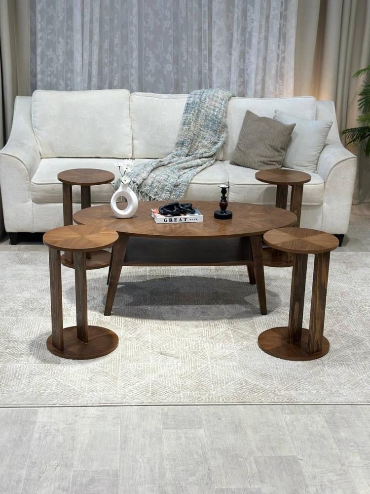 Modern walnut shell coffee table set