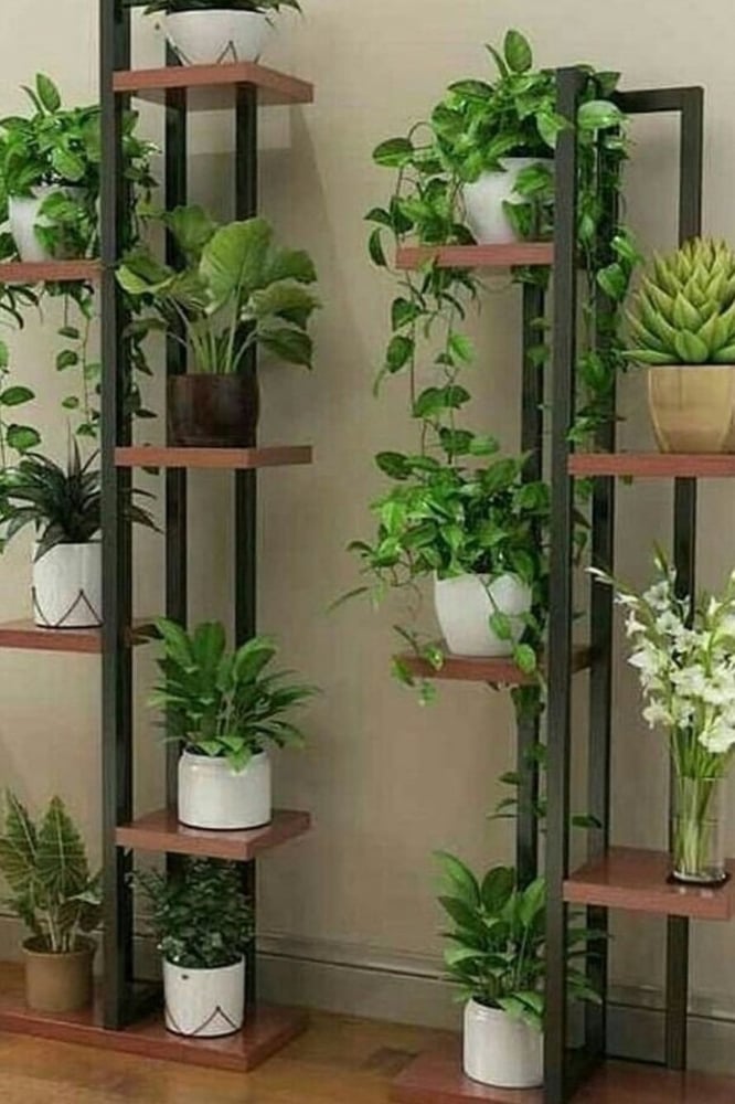 Plant shelves
