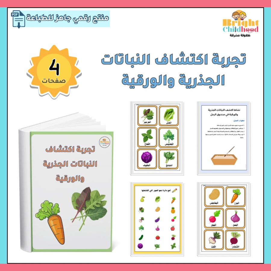 ‏تجربة اكتشاف النباتات الجذرية والورقية