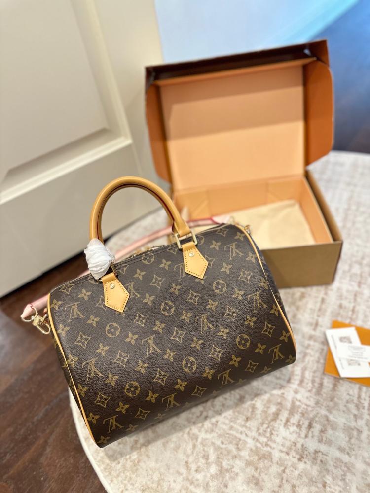 BagLv