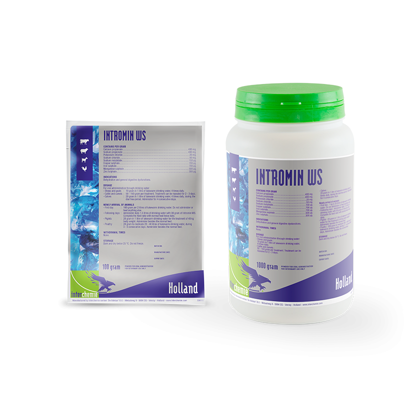Intromin oral 1 LTR انترومين شراب