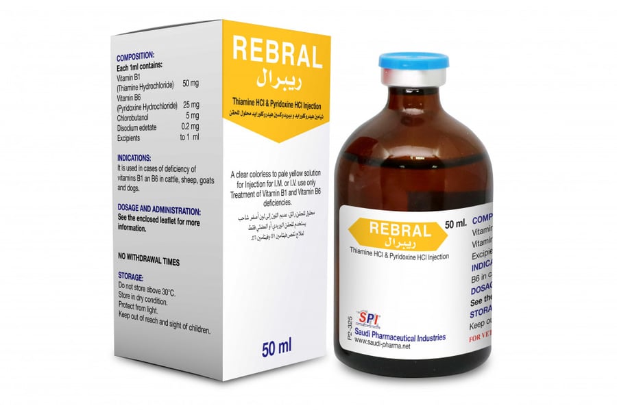 Rebral inj