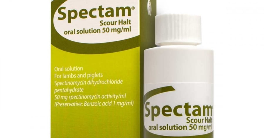 Spectam oral
