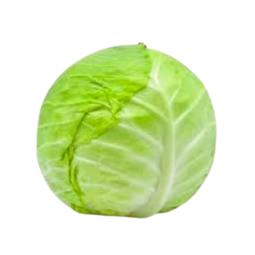 White cabbage single