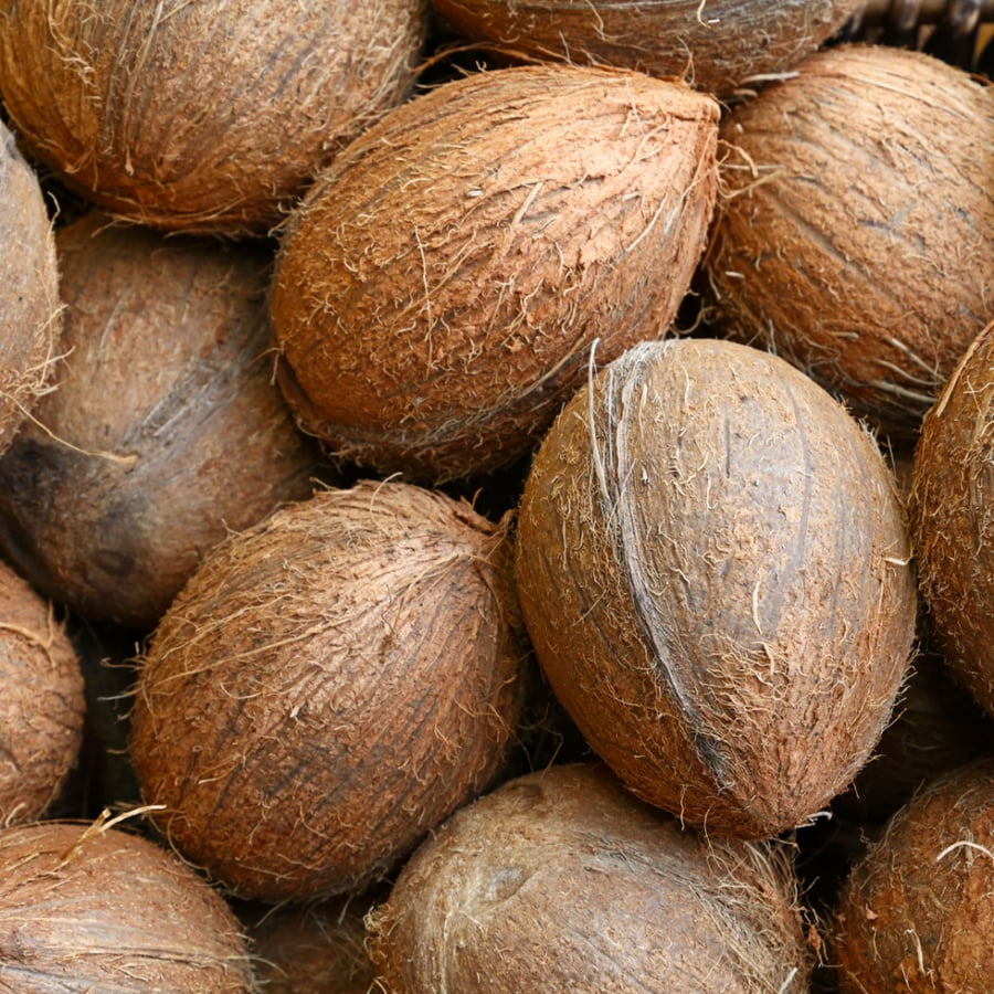 جوز الهند (13 كجم)