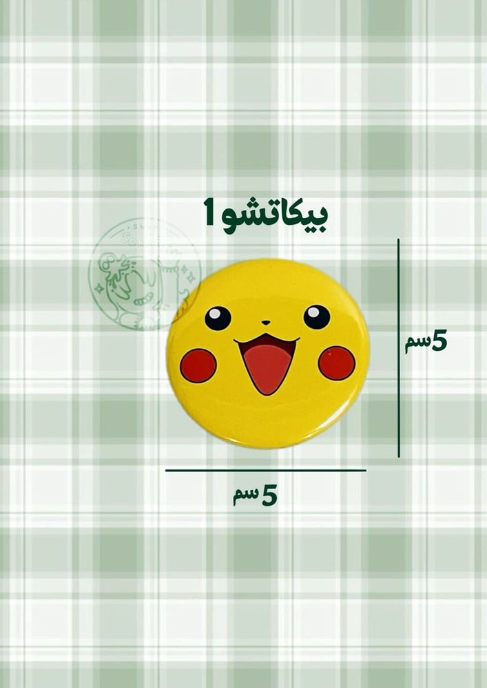بروش بوكيمون