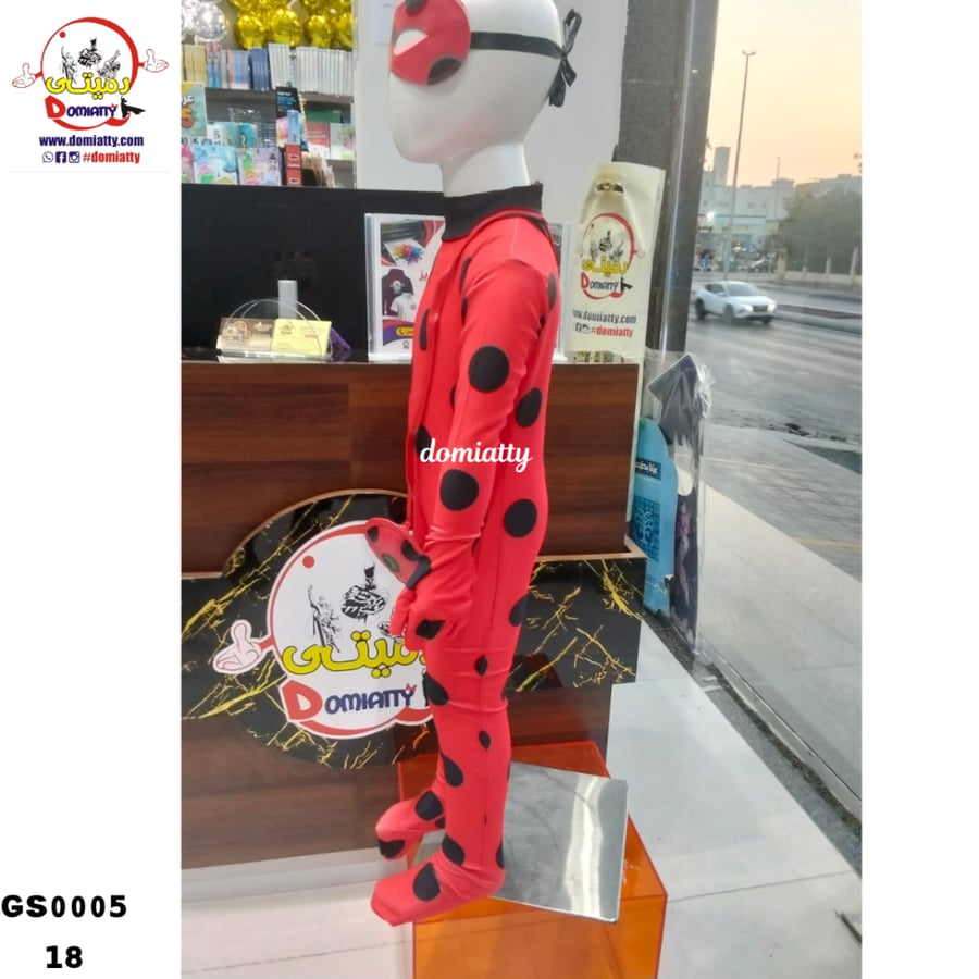 الدعسوقه