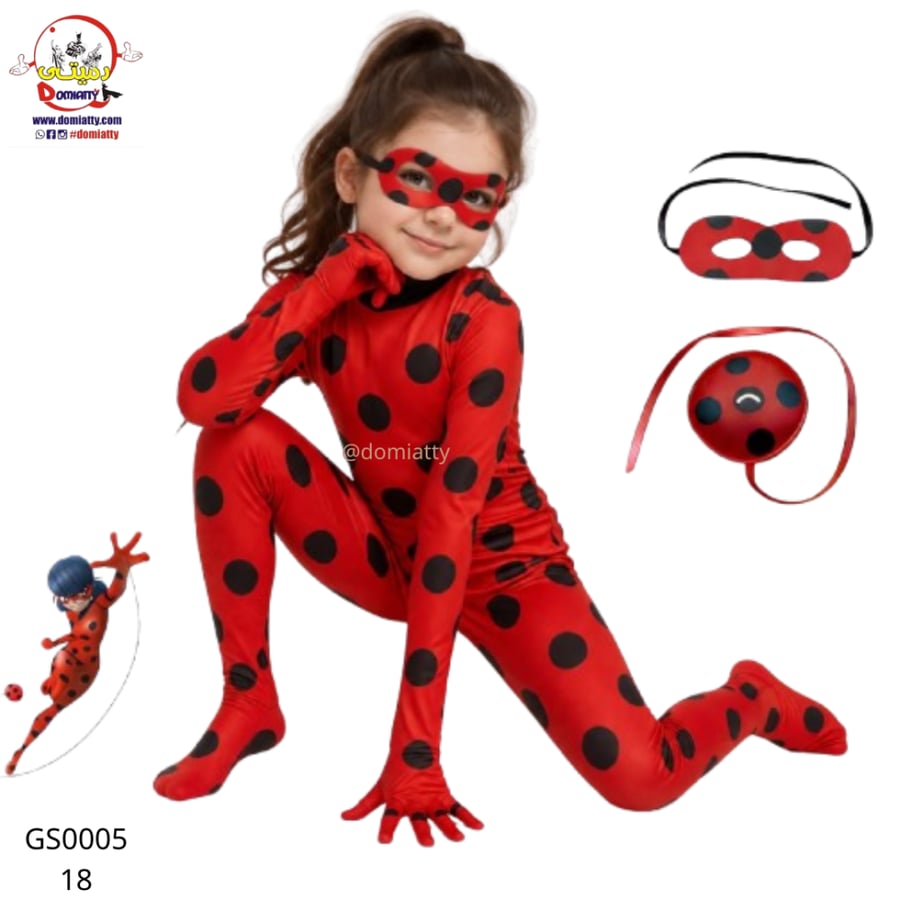 الدعسوقه