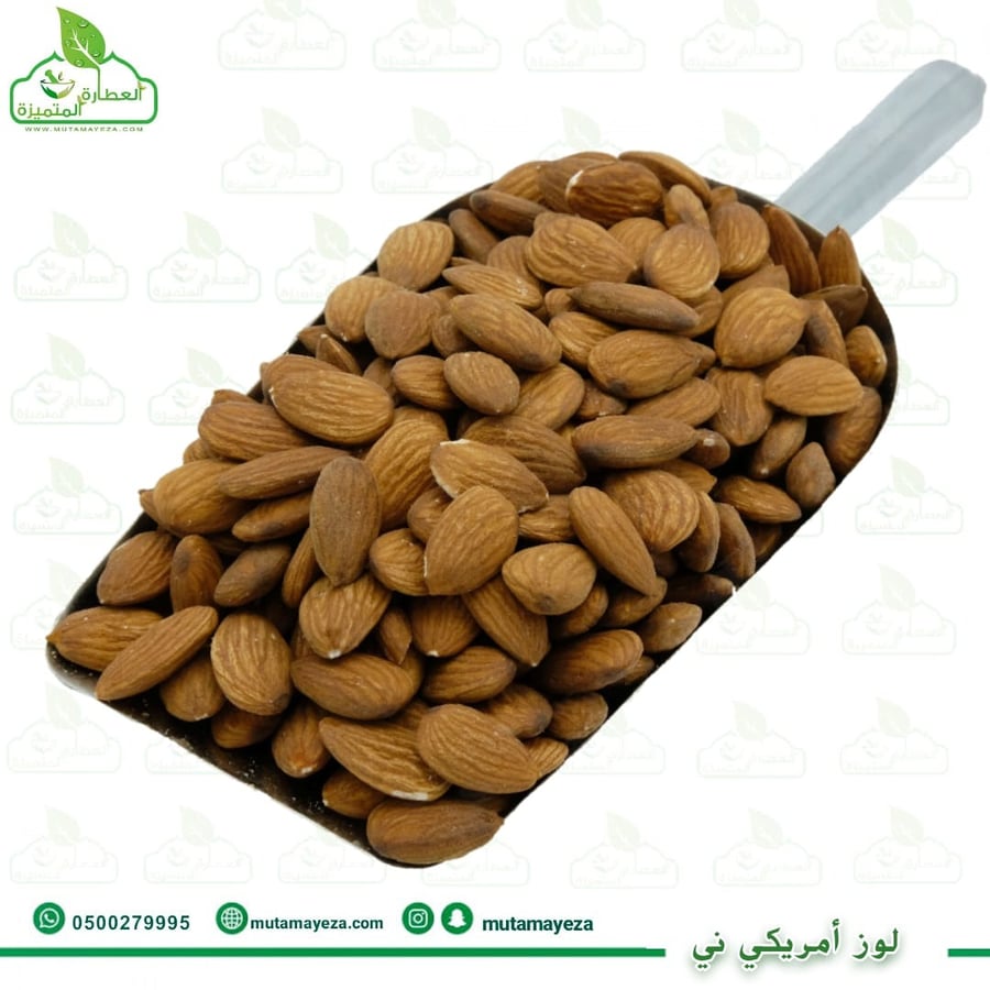 لوز امريكي