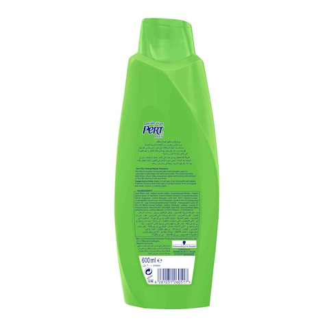 pert plus شامبو بزيت الارغان