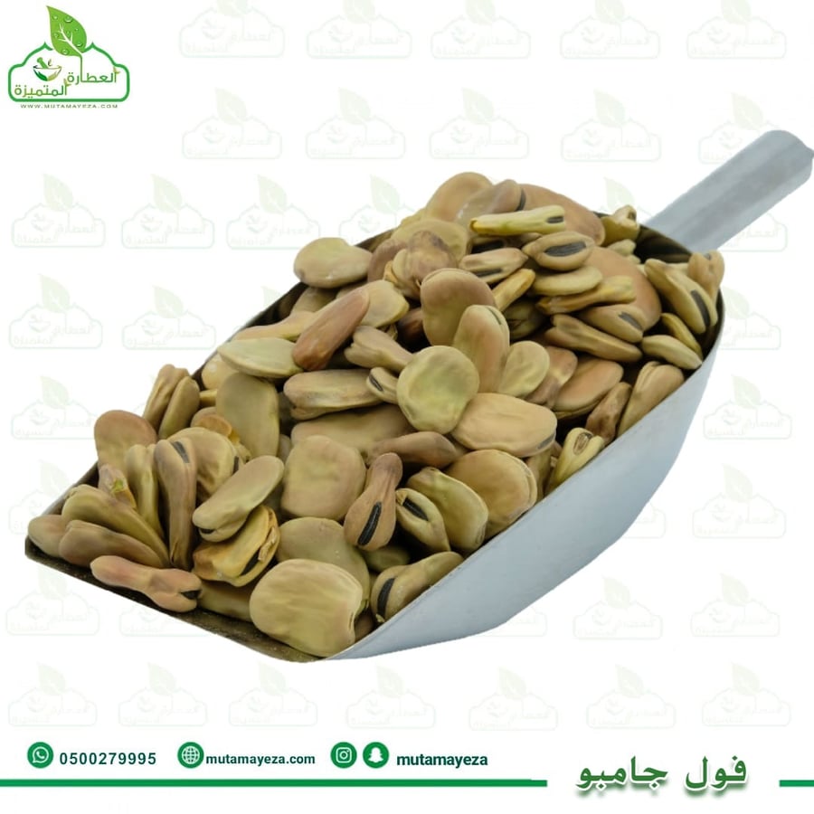 فول جامبو كيلو