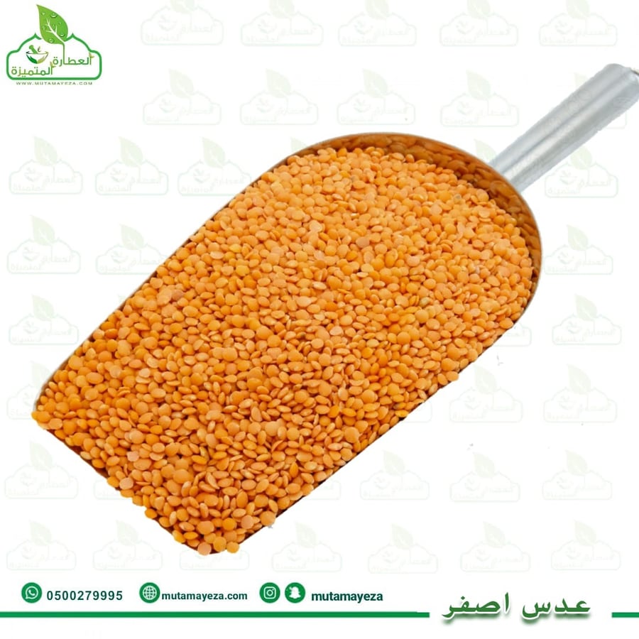 عدس اصفر كيلو