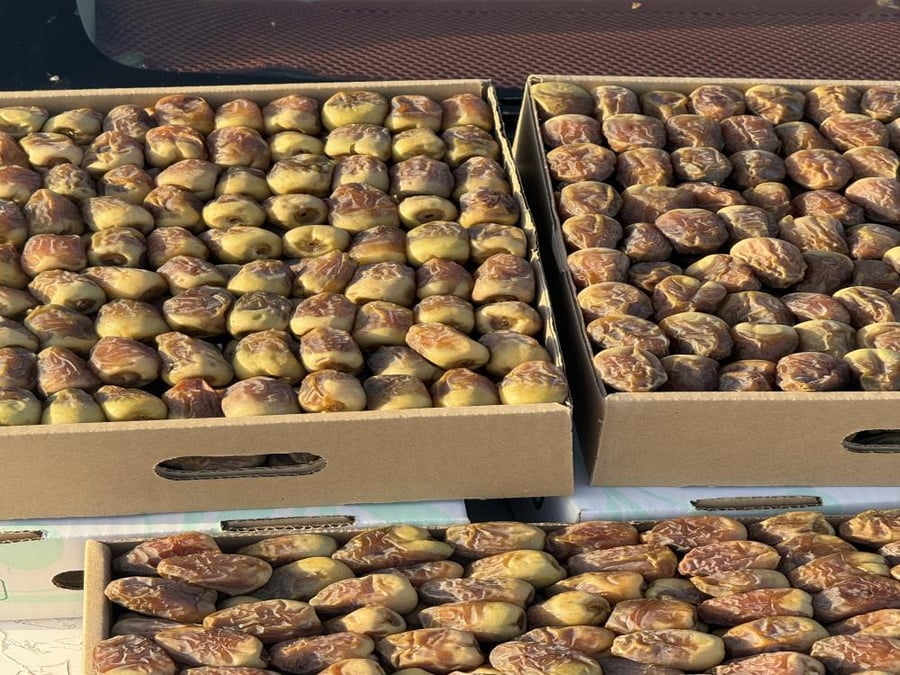 تمر شيشي 1kg