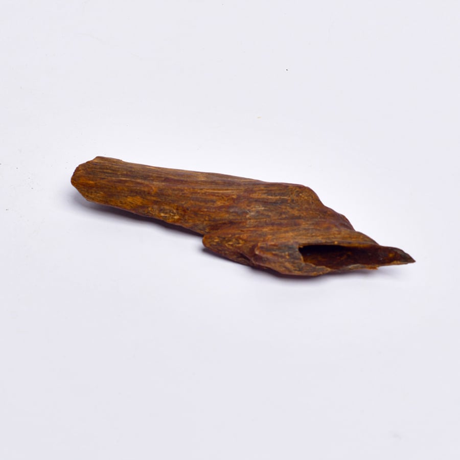Old Indian Oud