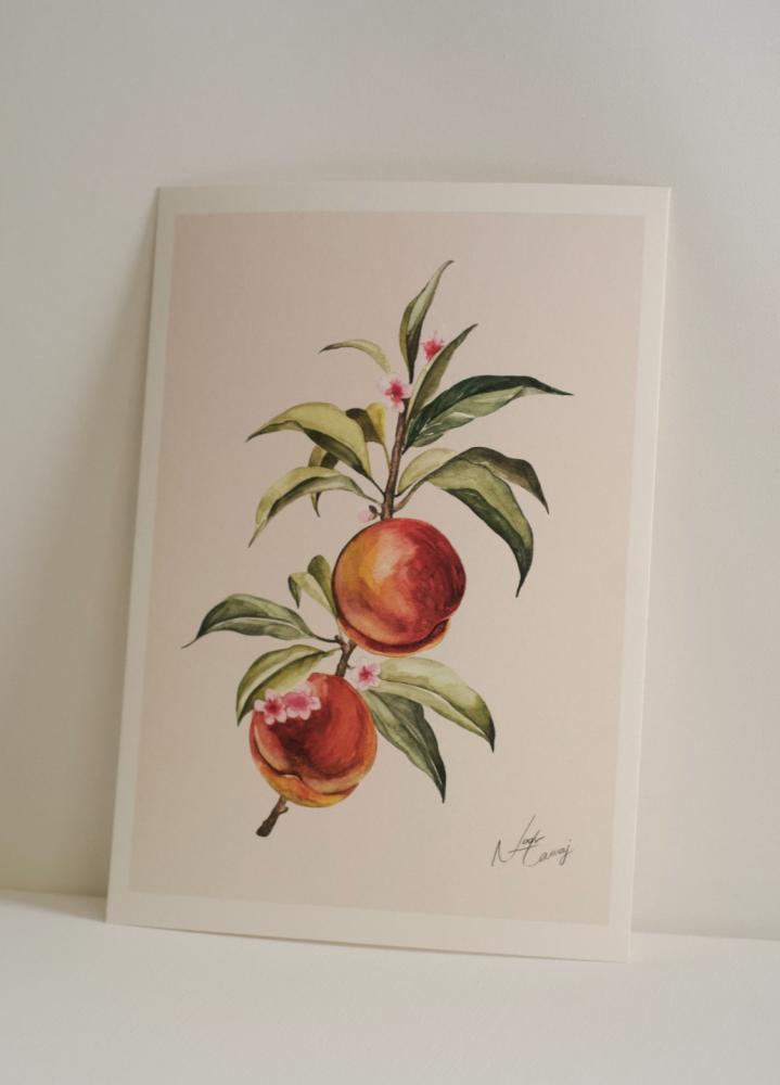 A4 prints الخوخ - مع حدود