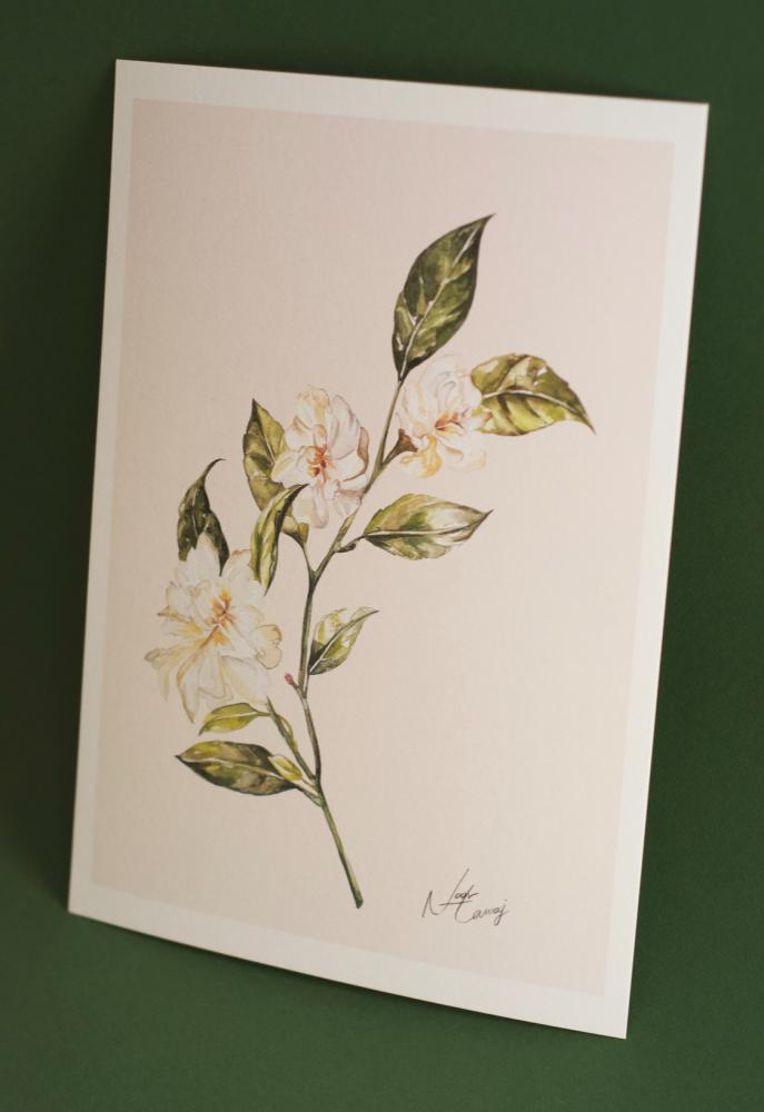 A4 prints الياسمين - مع حدود