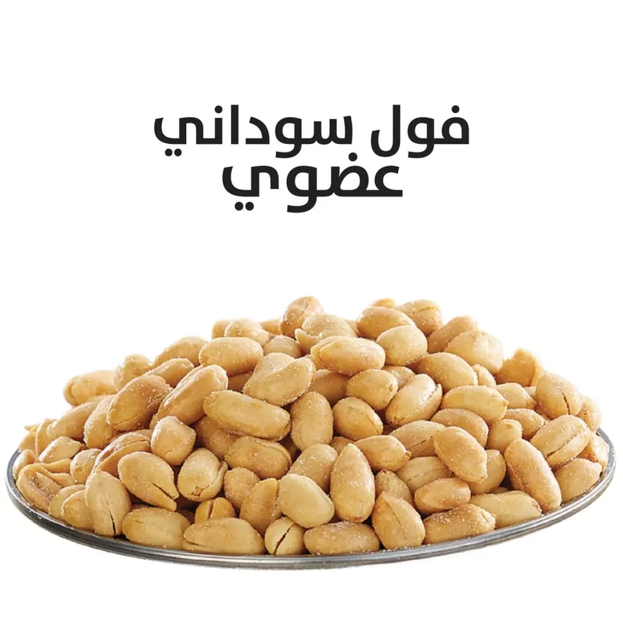 فول سوداني عضوي محمص بالفلفل الحار - 150 جم | ريجانو