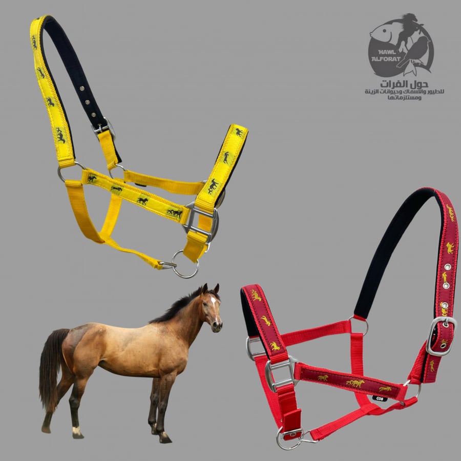 رشمة خيل مبطن بشعار الخيل - حول الفرات