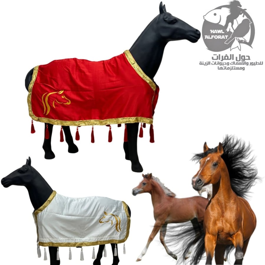 بلانكت اجلال زينة - حول الفرات