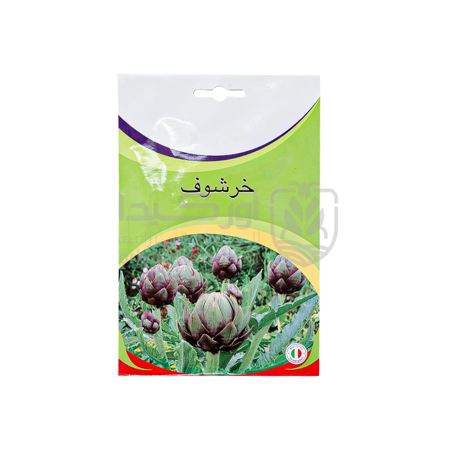 بذور خرشوف 1 غم