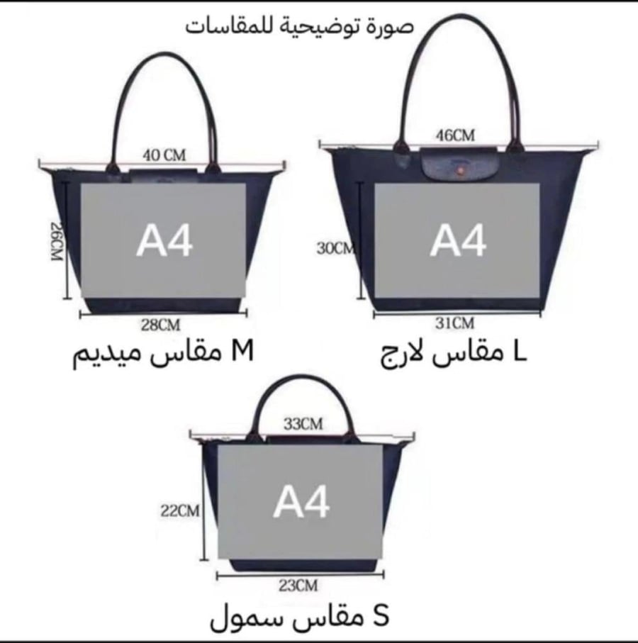 Longchamp Terra