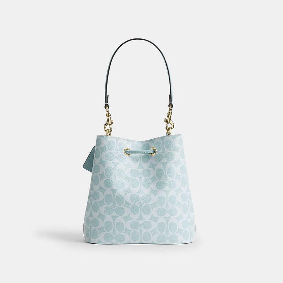 حقيبة كوتش سماوي Coach bag