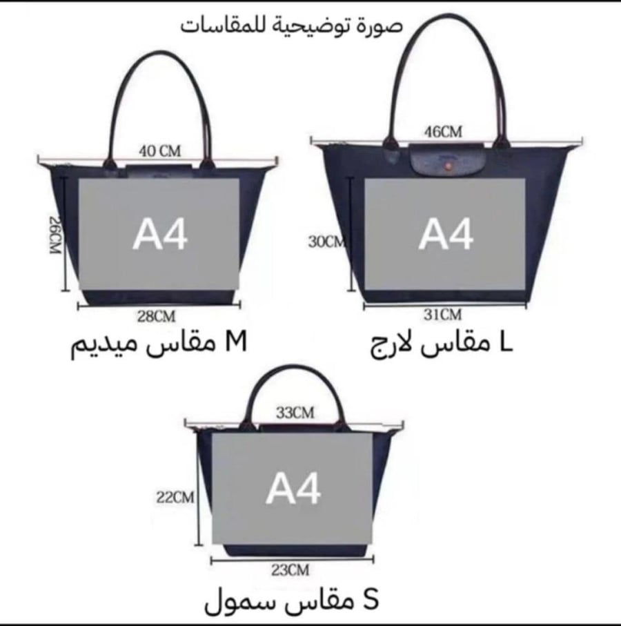 Longchamp sky blue