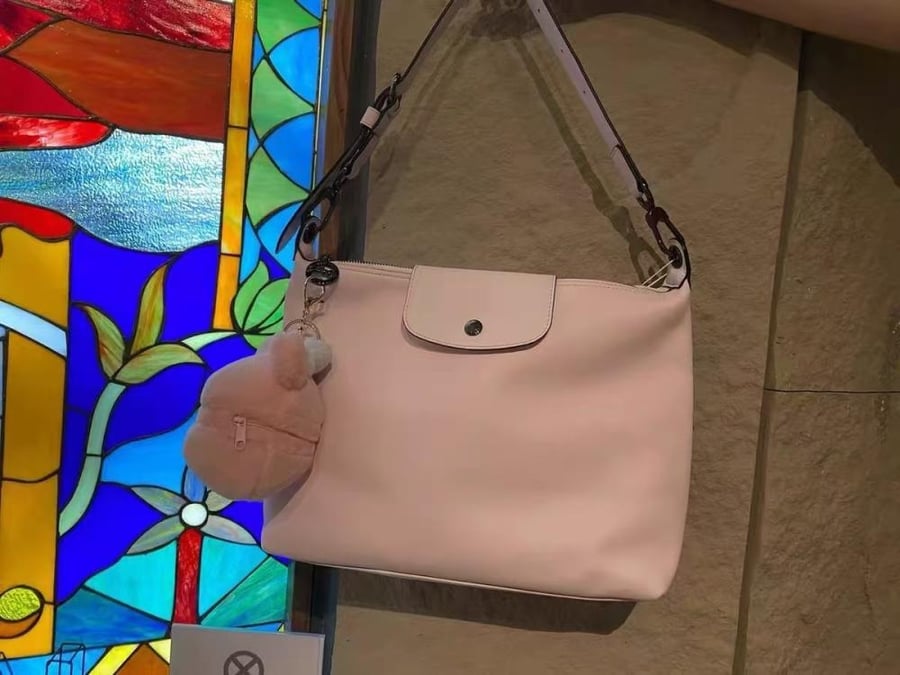Longchamp bag