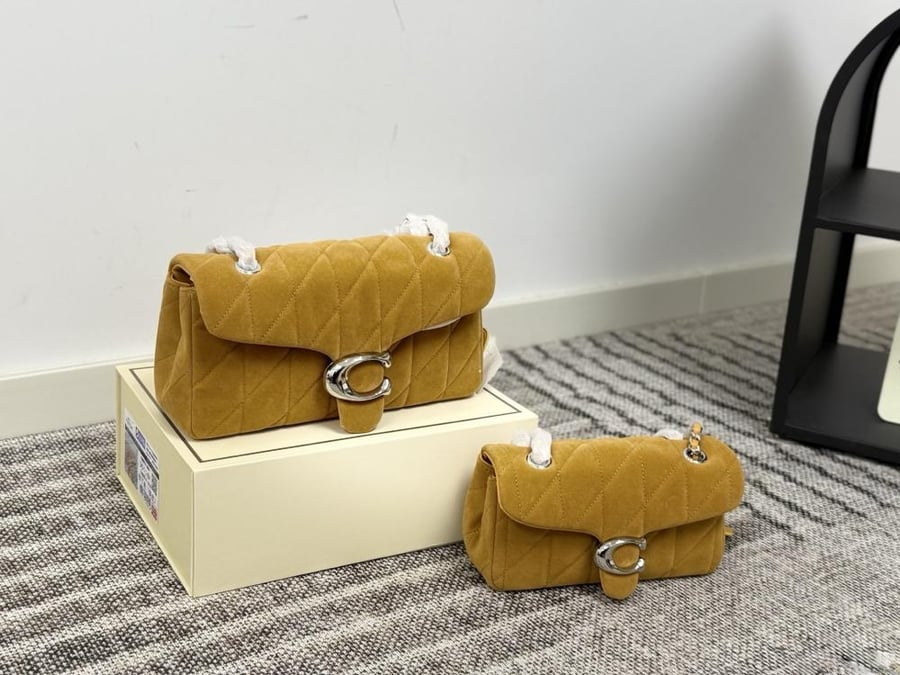 Coach velvet tabby (caramel yellow)